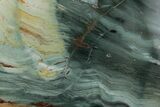 Gary Green Jasper (Larsonite) Bog Wood Slab - Oregon #377745-1